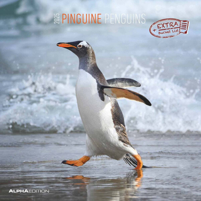Kalender 2025 Penguins 30x30cm