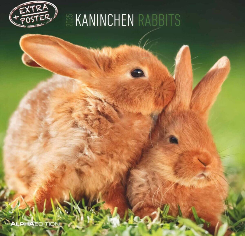 Kalender 2025 Rabbits 30x30cm