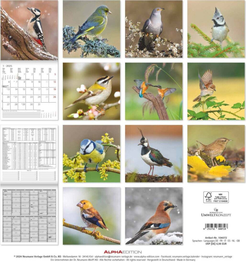 Kalender 2025 Birds 30x30cm