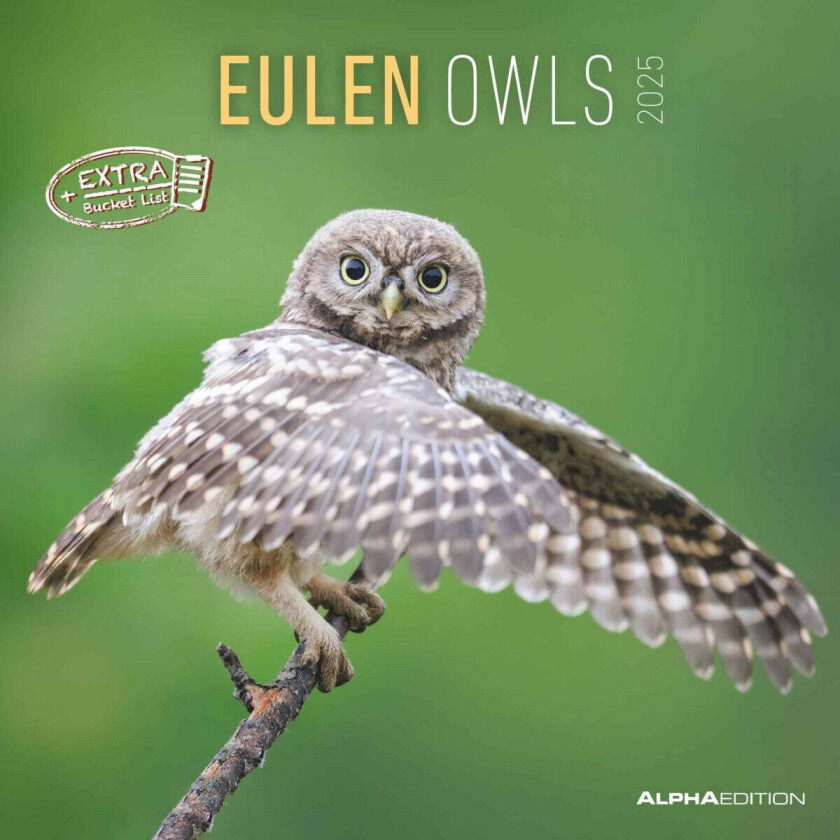 Kalender 2025 Owls 30x30cm
