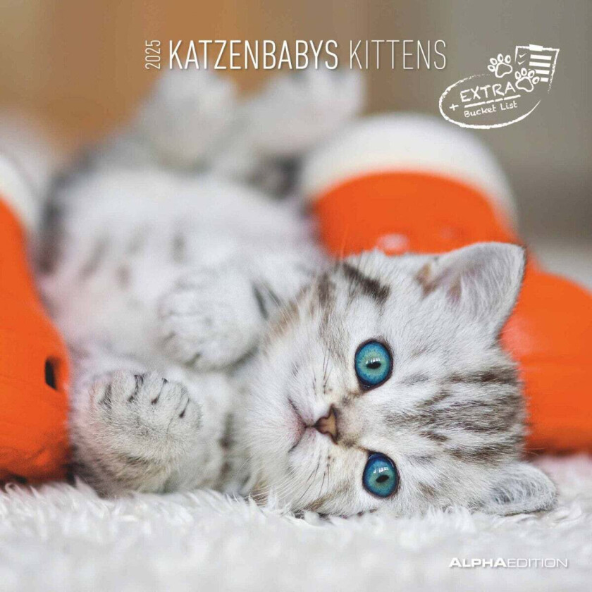 Kalender 2025 Kittens 30x30cm