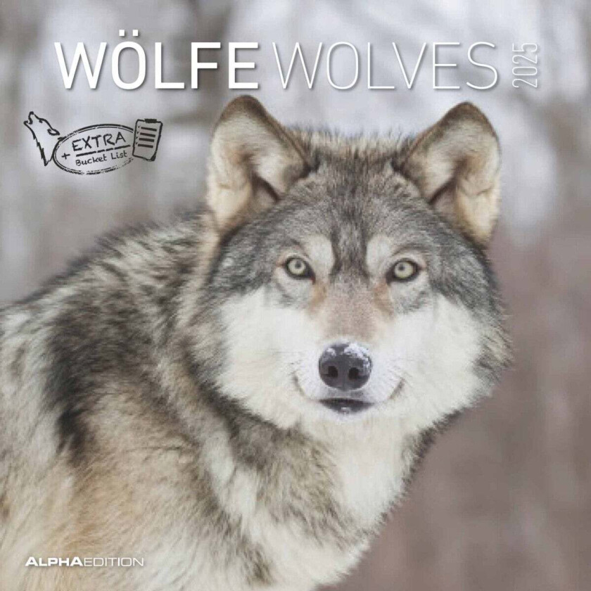 Kalender 2025 Wolves 30x30cm