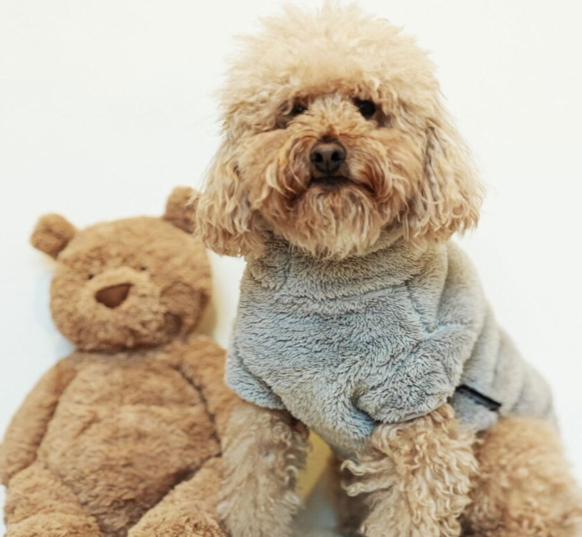 Bilde av Teddy Hundegenser Grå (42 cm)