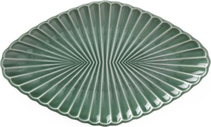 - Samsurium Assiette Spruce