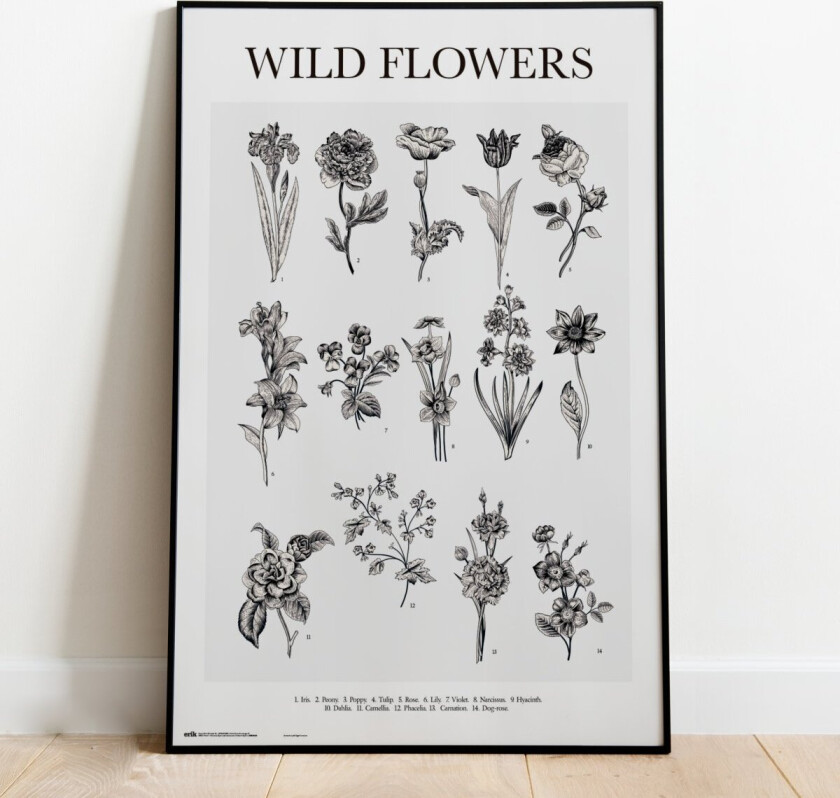 Ville Blomster Sort Hvit Plakat - 91,5 x 61 cm | Supernerds.no - Norsk Nettbutikk