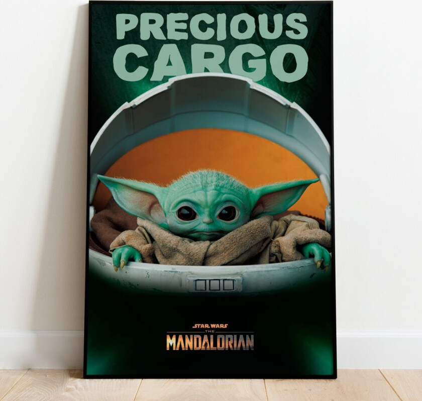 Plakat Precious Cargo - 91,5 x 61 cm | Supernerds.no - Norsk Nettbutikk
