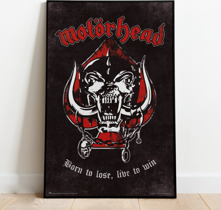 Plakat Born to Lose Live to Win - 91,5 x 61 cm | Supernerds.no - Norsk Nettbutikk