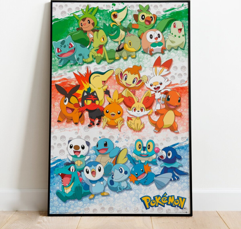 Plakat First Partners - 91,5 x 61 cm | Supernerds.no - Norsk Nettbutikk