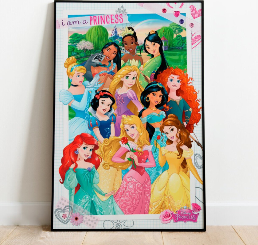 Prinsesser Plakat - 91,5 x 61 cm | Supernerds.no - Norsk Nettbutikk