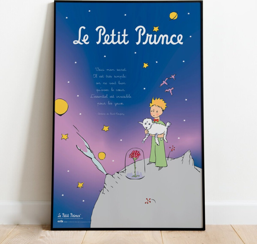 Plakat - 91,5 x 61 cm | Supernerds.no - Norsk Nettbutikk
