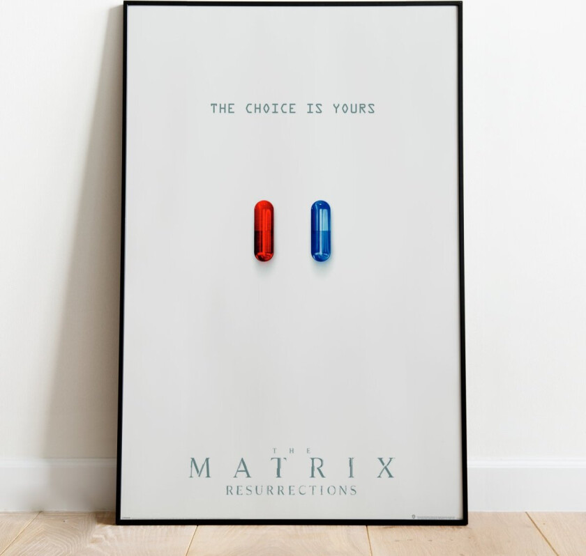 Plakat The Choice Is Yours - 91,5 x 61 cm | Supernerds.no - Norsk Nettbutikk