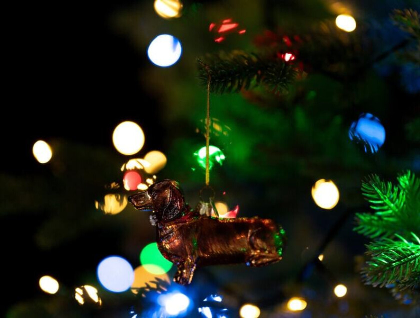 Juletrepynt Dachshund