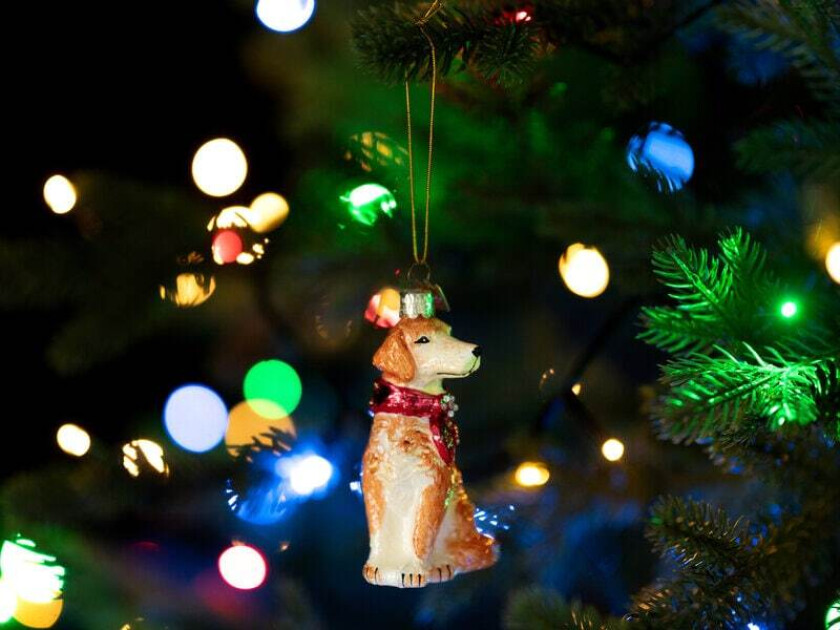 Juletrepynt Golden Retriever