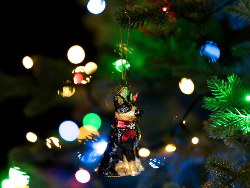 Juletrepynt Schäfer