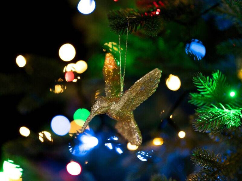 Juletrepynt Kolibri i Gull