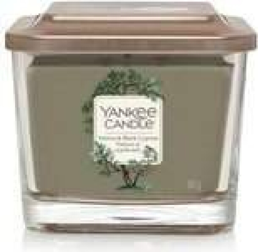 - Elevation Vetiver & Black Cypress Candle - Scented candle 347.0g