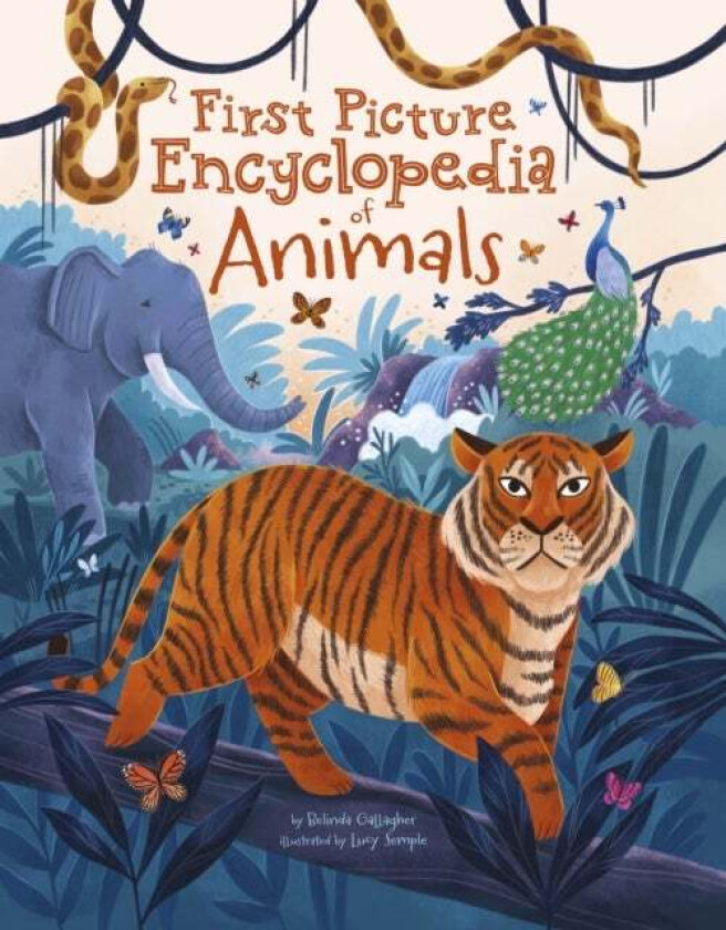 First Picture Encyclopedia of Animals av Belinda Gallagher