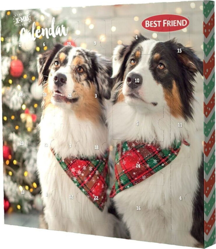 X-Mas Julekalender til Hund