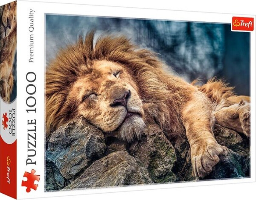 Puzzle - Sleeping lion (1000 pieces) Gulv