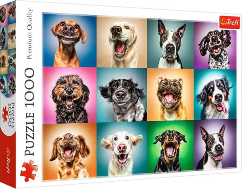 Puzzle - Funny dog portraits (1000 pieces) Gulv