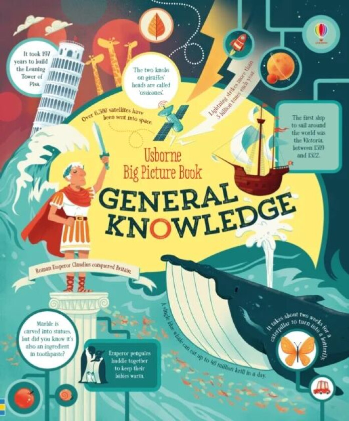 Big Picture Book of General Knowledge av James Maclaine
