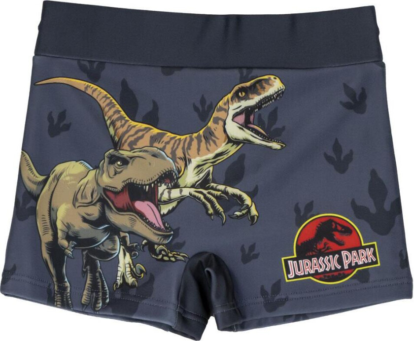 Badeshorts for Gutter Jurassic Park Mørke Grå - 6 År