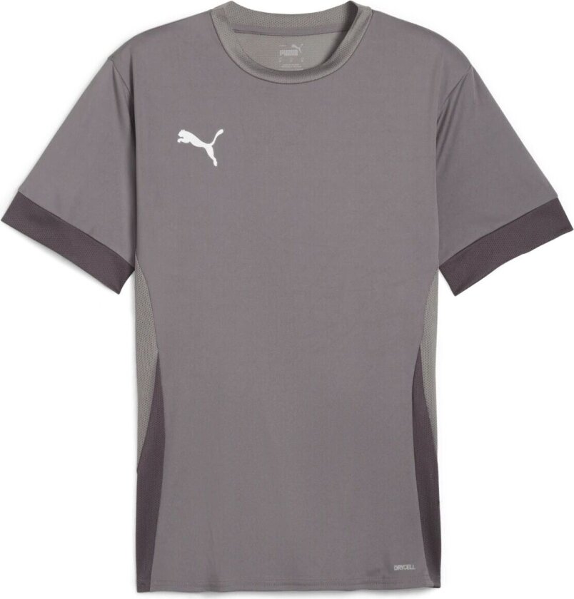 teamGOAL Matchday Jersey, fotballtrøye, herre Cast Iron-PUMA White