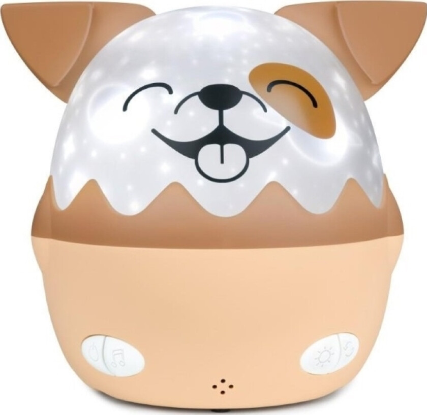 Viewsonic Big Ben Nattlampe Projector 360 Pies