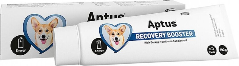 Recovery Booster Hund 100 g