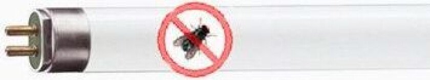 Ultrafiolett insektsfanger lysrør T5 8W, 288mm