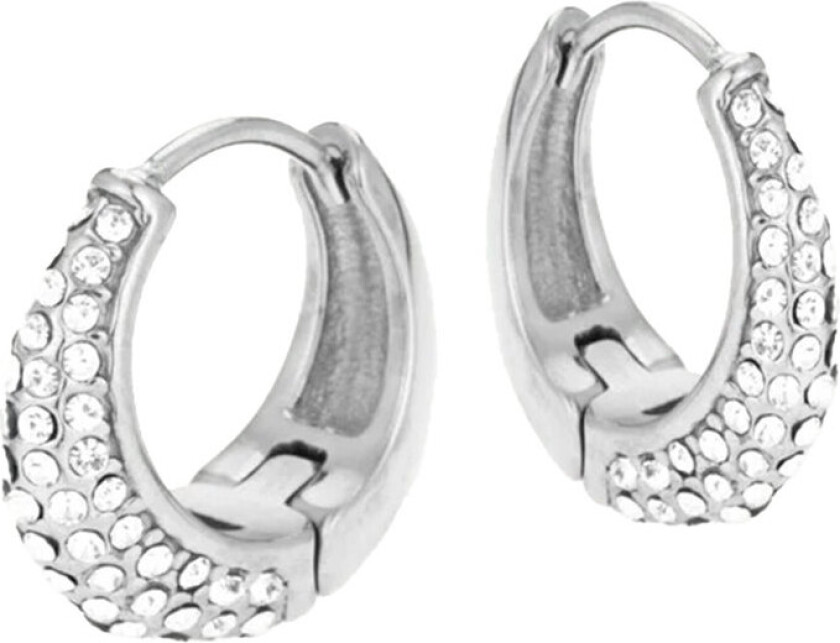 Sistie2ND Loops Creoles Steel 15mm