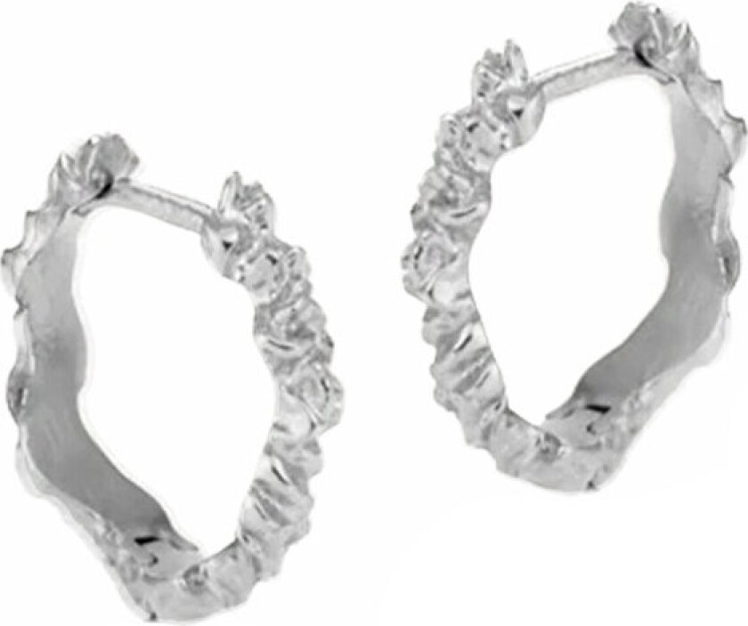 Sistie2ND Loops Creoles Steel 12mm