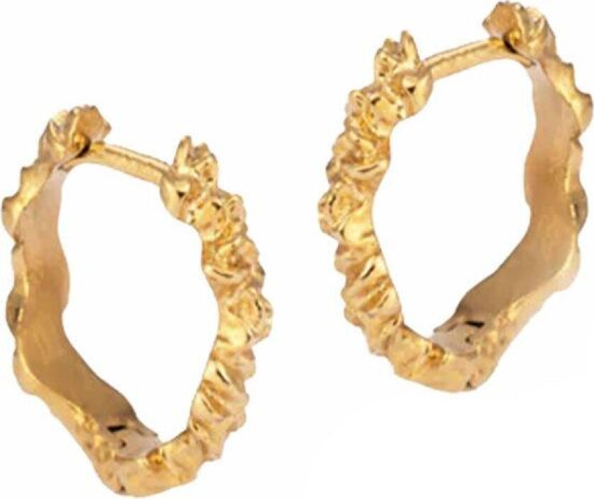 Sistie2ND Loops Creoles Gold Plated 12mm