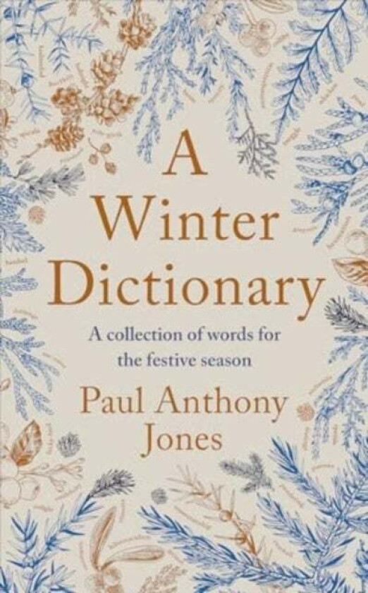 A Winter Dictionary av Paul Anthony Jones