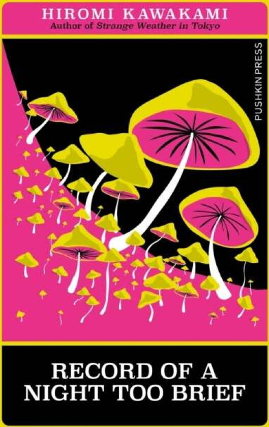 Record of a Night Too Brief av Hiromi Kawakami