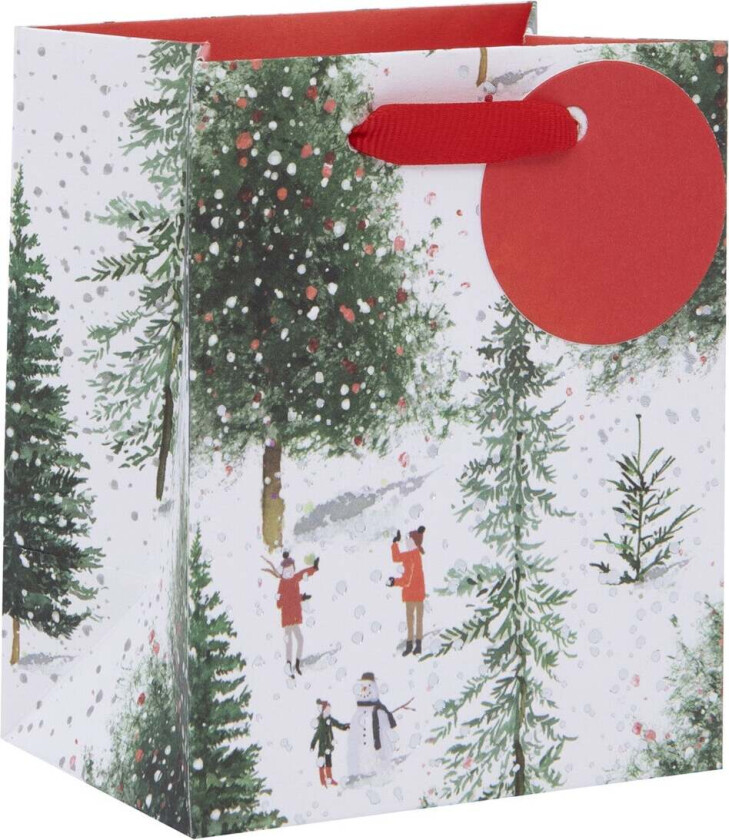 Gavepose Mini Christmas At Aspen