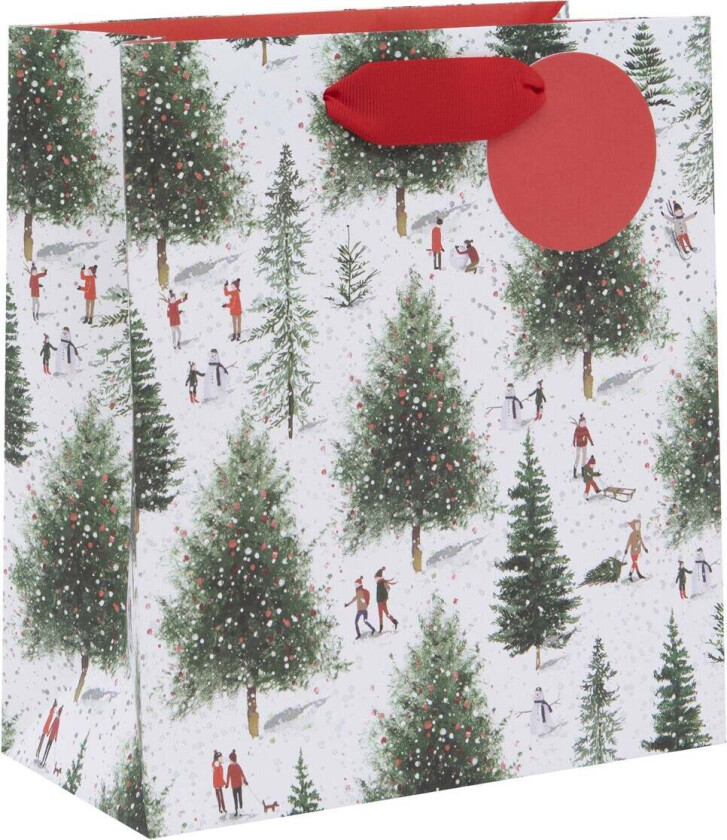 Gavepose M Christmas At Aspen