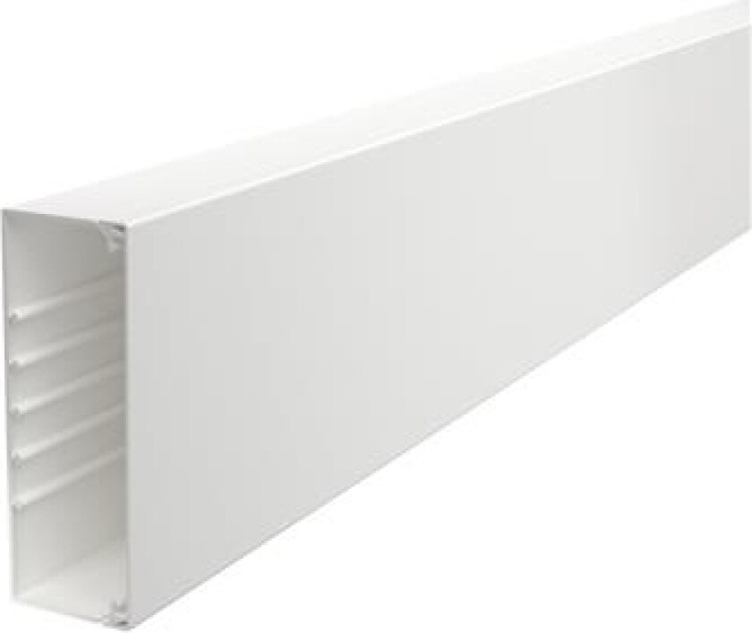 Obo Wdk Kabelkanal Komplet Incl. Kabelholder Og Låg Højde 60 Mm, Bredde 170 Mm, Længde 2000 Mm Perlehvid Ral 9016 Bly-Fri Plast - (2 Meter)