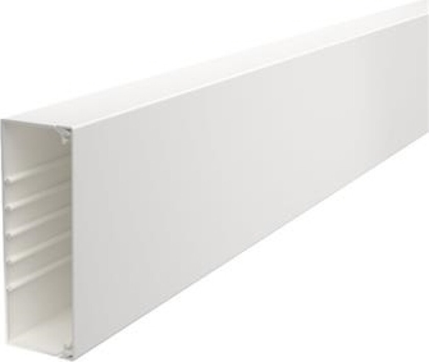 Obo Wdk Kabelkanal Komplet Incl. Kabelholder Højde 60 Mm, Bredde 170 Mm, Længde 2000 Mm Hvid Ral 9010 Bly-Fri Plast - (2 Meter)