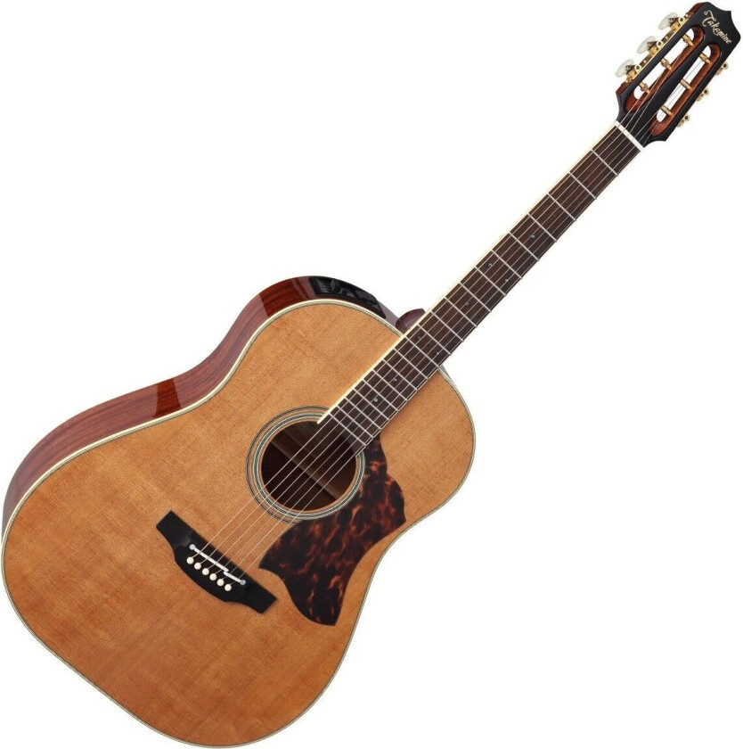 CRN-TS1 Dreadnought Electro Acoustic Natural Gloss