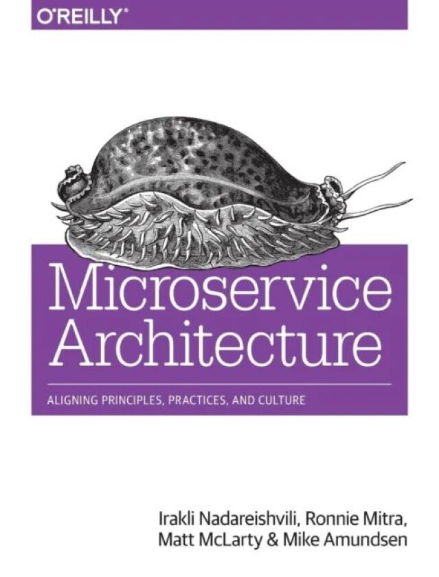 Microservice Architecture av Irakli Nadareishvili, Ronnie Mitra, Matt Mclarty, Mike Amundsen