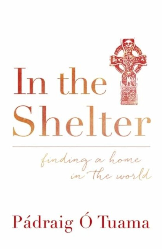 In the Shelter av Padraig O Tuama