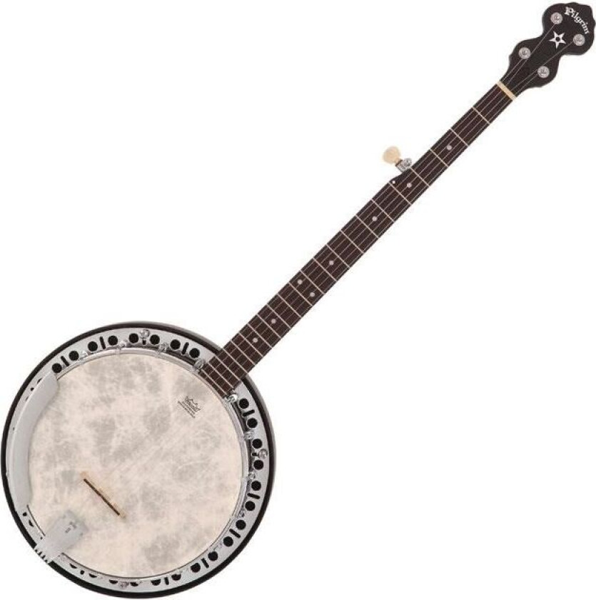 Vt-P-Vpb018 Pilgrim Banjo Rocky Mountain 18 Resonator - Mahogany