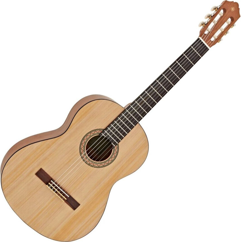 C40M Classical Guitar Matte