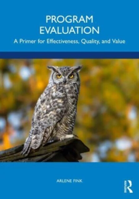 Program Evaluation av Arlene Fink