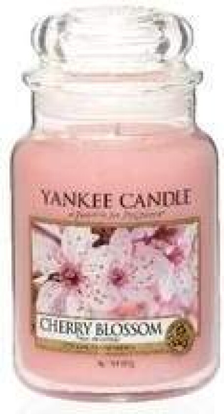 - Cherry Blossom Candle - Scented candle 623.0g