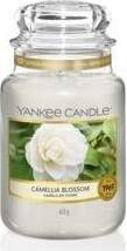 - Camellia Blossom Candle - Scented candle 623.0g