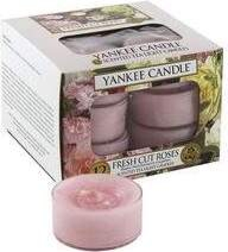 - Fresh Cut Roses - Aromatic tealights