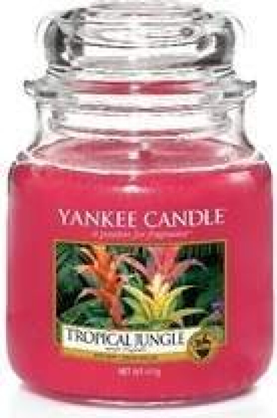 - Tropical Jungle Candle - Scented candle 411.0g