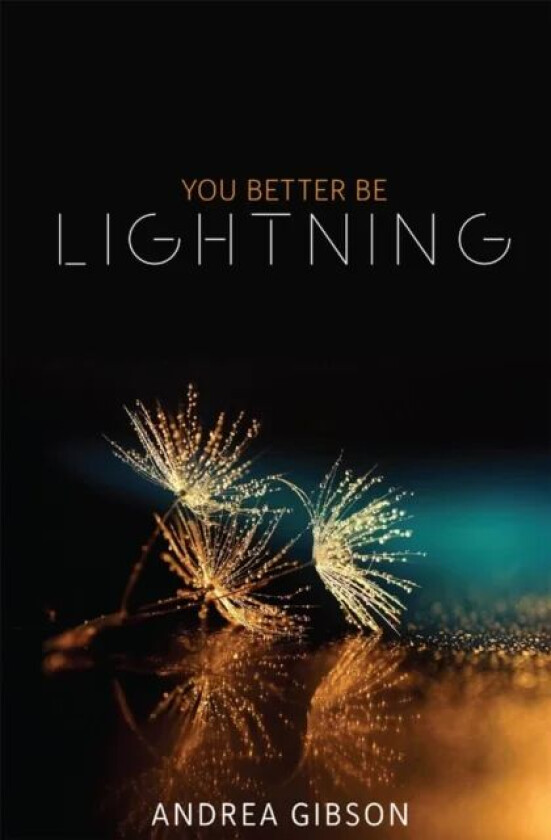 You Better Be Lightning av Andrea Gibson